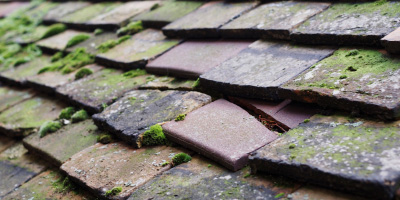 Kirtling roof repair costs